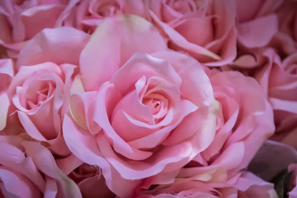 Plastique Rose Rose Fond — Photo