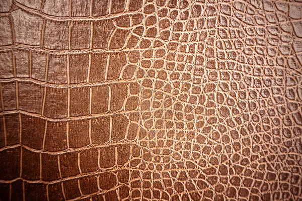 Crocodile Leather Pattern Used Background Stock Image