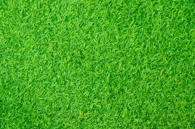 Yeşil yapay ot doğal arkaplan