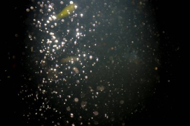 Doğal su dokusu arkaplanı Bokeh