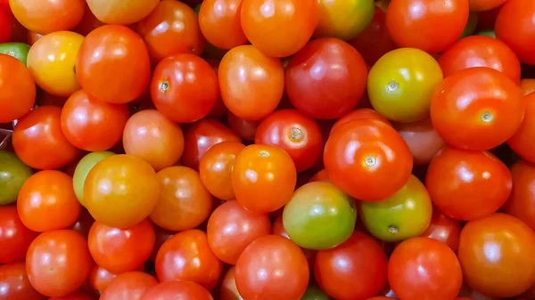 Taze kırmızı domatesler ve olgunlaşmamış domatesler.
