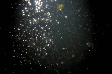 Doğal su dokusu arkaplanı Bokeh