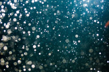 Siyah arkaplanı olan soyut beyaz bokeh