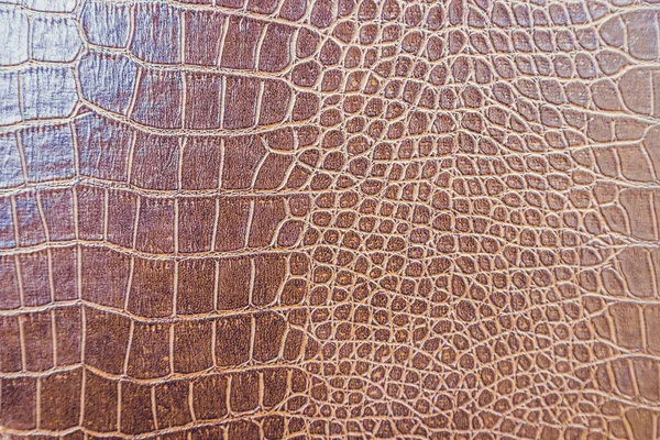 Brown skin leather texture use for background