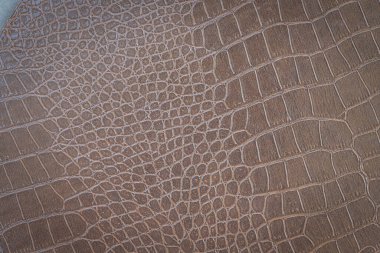 Kahverengi yılan derisi hayvan doğası.