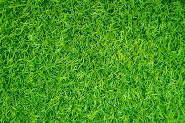 Yeşil yapay ot doğal