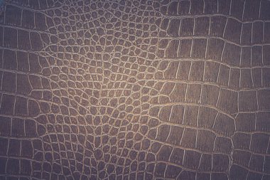 Kahverengi yılan derisi hayvan doğası.