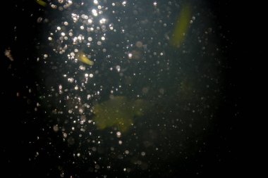 Doğal su dokusu arkaplanı Bokeh