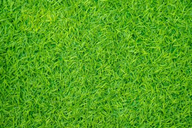 Yeşil yapay ot doğal
