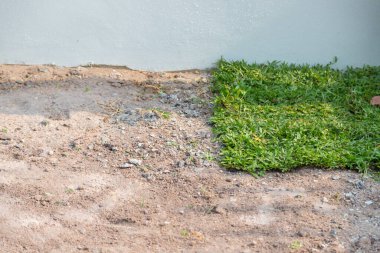 Sahaya çim ekme hazırlığı