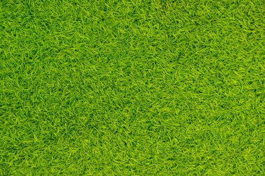 Yeşil yapay ot doğal