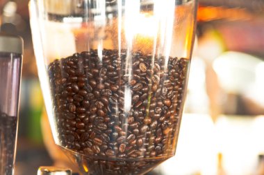 Kavrulmuş kahve kavanozu. Arka planda güneş ışığı var.