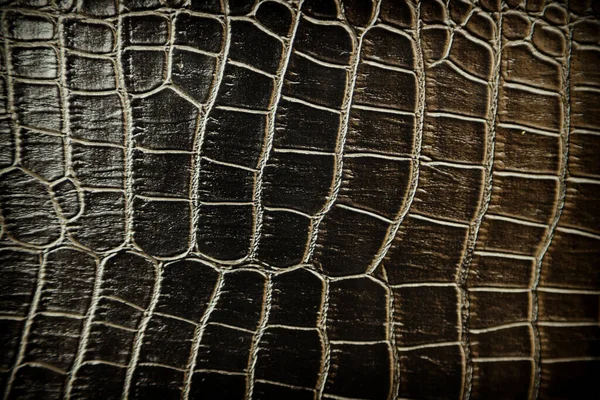 Arkaplan için siyah deri dokusu