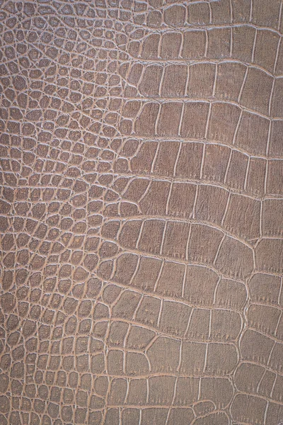 Brown snake skin pattern animal nature background
