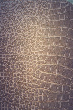 Kahverengi yılan derisi hayvan doğası.