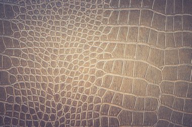 Kahverengi yılan derisi hayvan doğası.