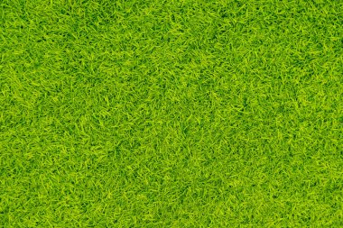 Green artificial grass natural use for background