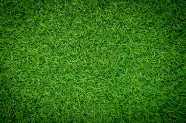 Green artificial grass natural use for background