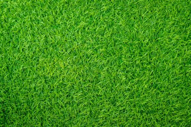 Yeşil yapay ot doğal