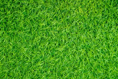Yeşil yapay ot doğal