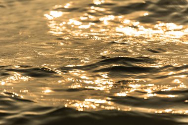 Su yüzeyi hareket eden altın su dalgalarıyla yansıyor.