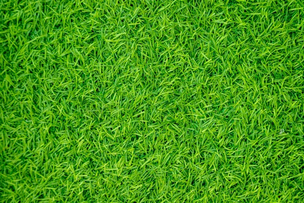 Grön Konstgräs Naturligt — Stockfoto