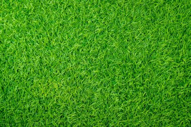 Yeşil yapay ot doğal