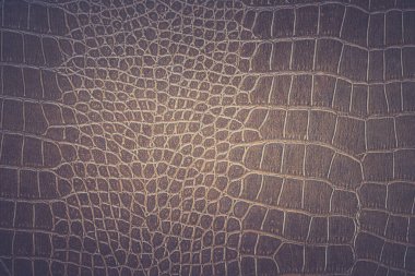 Kahverengi yılan derisi hayvan doğası.