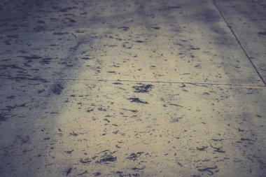 Köy yolunda yanmış bitki, çimen küllerinin hava kirliliği