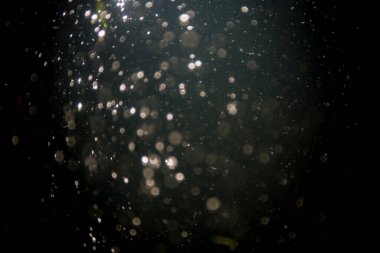 Doğal su dokusu arkaplanı Bokeh