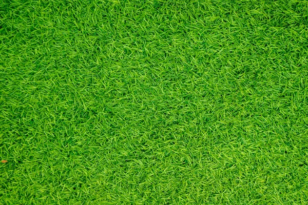 Green Artificial Grass Natural — Stock Photo, Image