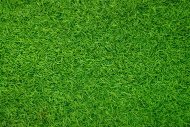 Yeşil yapay ot doğal