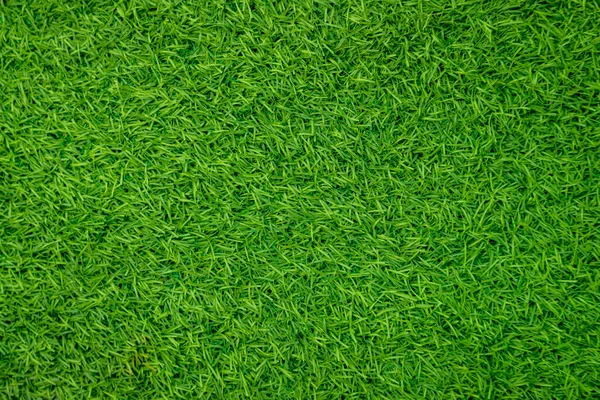 Green Artificial Grass Natural — Stock Photo, Image