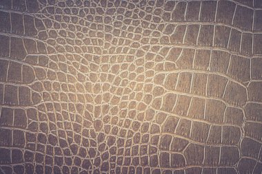 Kahverengi yılan derisi hayvan doğası.