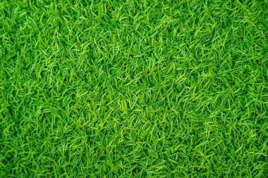 Yeşil yapay ot doğal