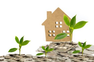 Saving money for the purchase of accommodation Concept on a white background