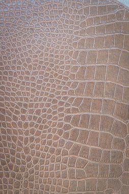 Kahverengi yılan derisi hayvan doğası.