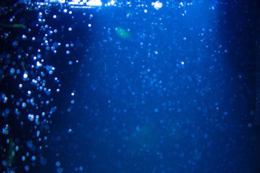 Abstract blue defocus bokeh glitter vintage lights with black background