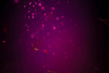 Abstract pink defocus bokeh glitter  with black background