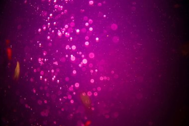 Abstract pink defocus bokeh glitter  with black background