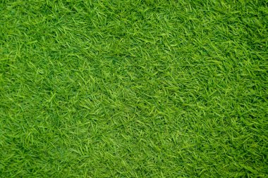Yeşil yapay ot doğal