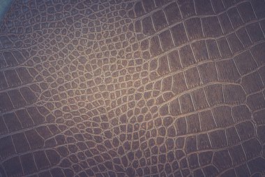 Kahverengi yılan derisi hayvan doğası.