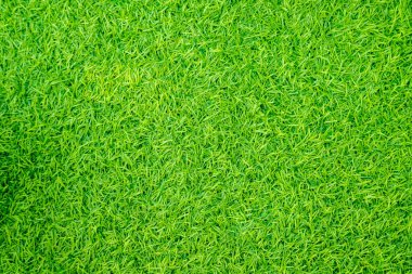 Yeşil yapay ot doğal