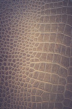 Kahverengi yılan derisi hayvan doğası.