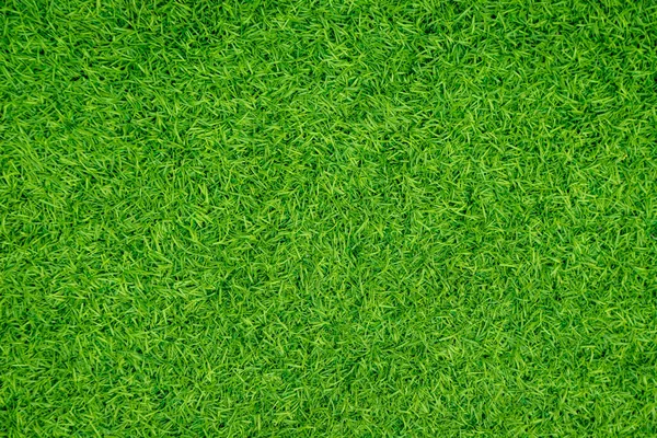 天然绿草 — 图库照片