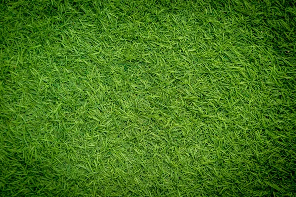 Green Artificial Grass Natural — ストック写真