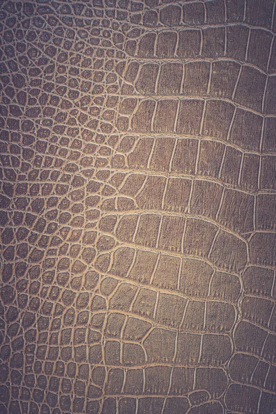 Brown snake skin pattern animal nature background