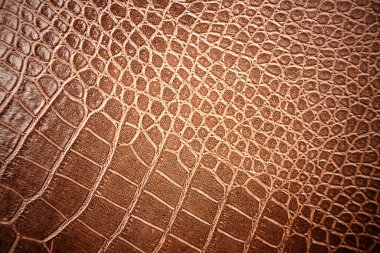 Arka plan için timsah derisi deseni kullanılır