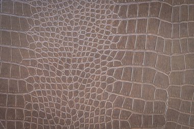 Kahverengi yılan derisi hayvan doğası.