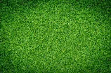 Yeşil yapay ot doğal